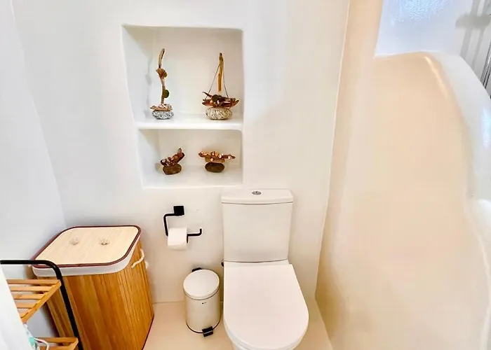 Provis Next To The Mills In * Mykonos Town